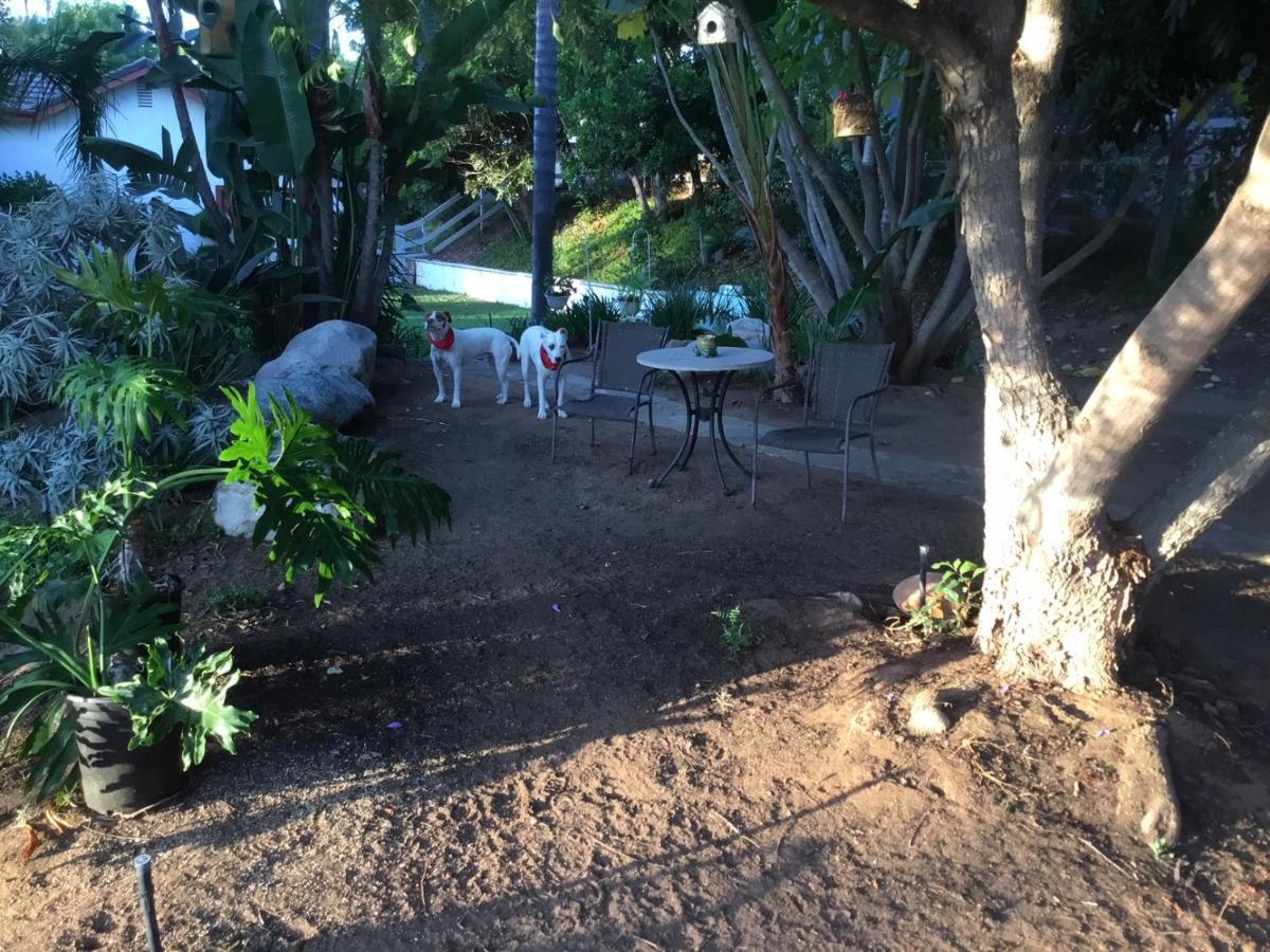 Beautiful New Detached Casita Nestled In Scenic Southern Ca Foothills! Fallbrook Εξωτερικό φωτογραφία