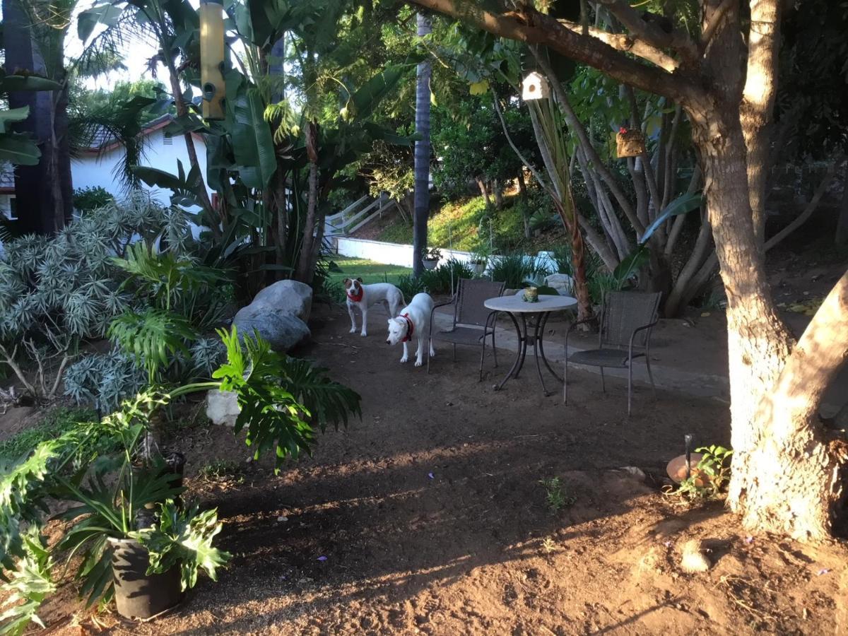 Beautiful New Detached Casita Nestled In Scenic Southern Ca Foothills! Fallbrook Εξωτερικό φωτογραφία