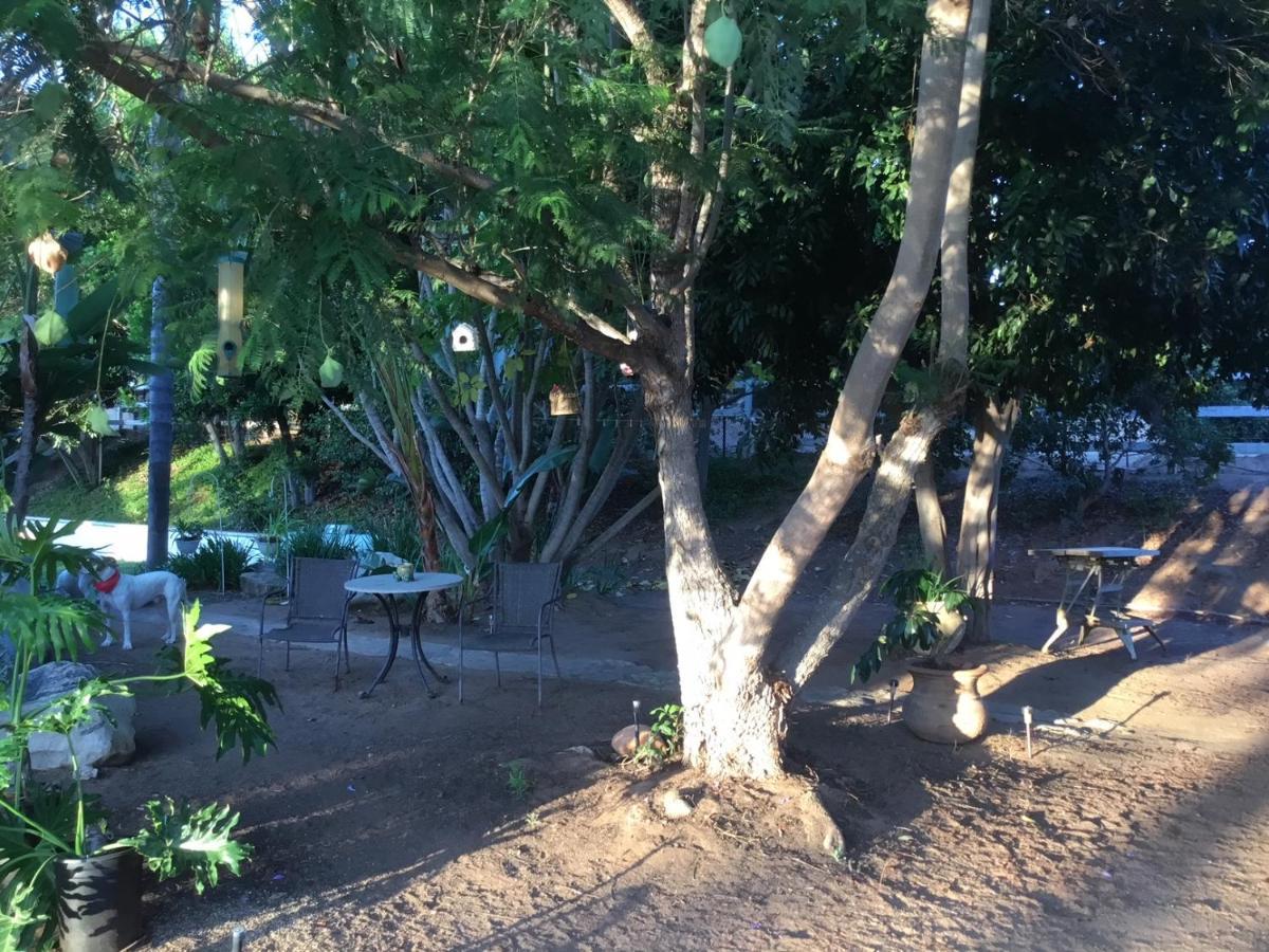 Beautiful New Detached Casita Nestled In Scenic Southern Ca Foothills! Fallbrook Εξωτερικό φωτογραφία